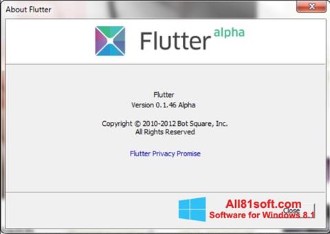 Στιγμιότυπο οθόνης Flutter Windows 8.1