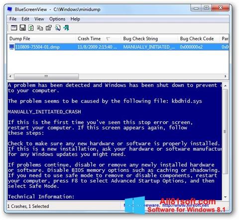 Στιγμιότυπο οθόνης BlueScreenView Windows 8.1
