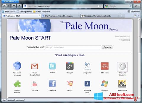 Στιγμιότυπο οθόνης Pale Moon Windows 8.1