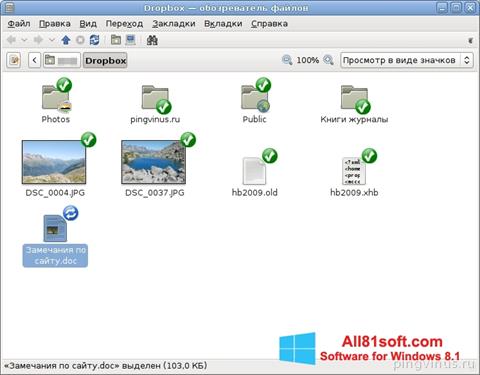 Στιγμιότυπο οθόνης Dropbox Windows 8.1