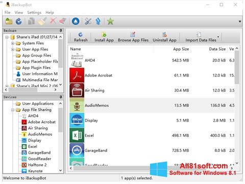 Στιγμιότυπο οθόνης iBackupBot Windows 8.1