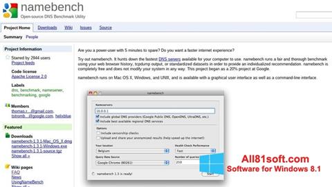 Στιγμιότυπο οθόνης NameBench Windows 8.1
