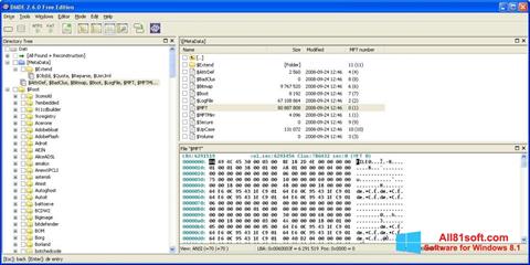 Στιγμιότυπο οθόνης DMDE Windows 8.1