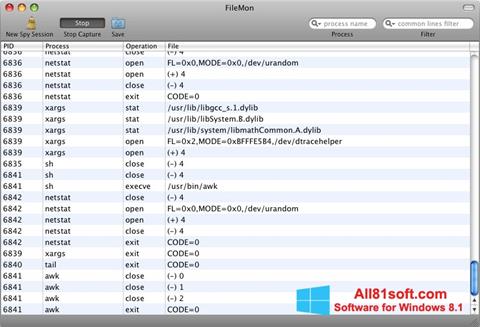 Στιγμιότυπο οθόνης FileMon Windows 8.1