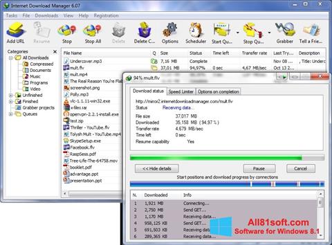Στιγμιότυπο οθόνης Internet Download Manager Windows 8.1
