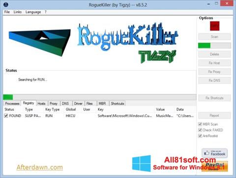 Στιγμιότυπο οθόνης RogueKiller Windows 8.1