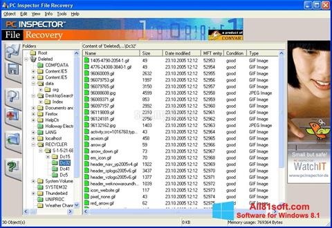 Στιγμιότυπο οθόνης PC Inspector File Recovery Windows 8.1