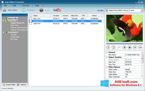 Στιγμιότυπο οθόνης Any Video Converter Windows 8.1