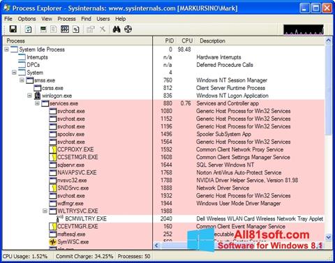Στιγμιότυπο οθόνης Process Explorer Windows 8.1