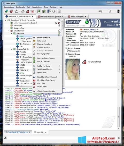 Στιγμιότυπο οθόνης TeamSpeak Windows 8.1