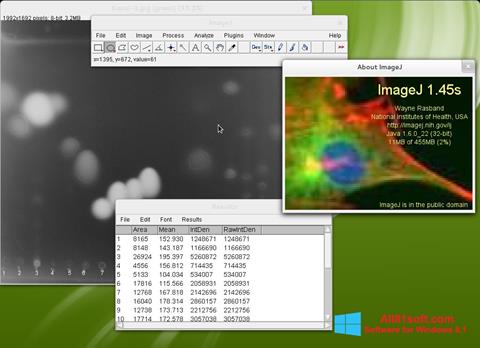 Στιγμιότυπο οθόνης ImageJ Windows 8.1