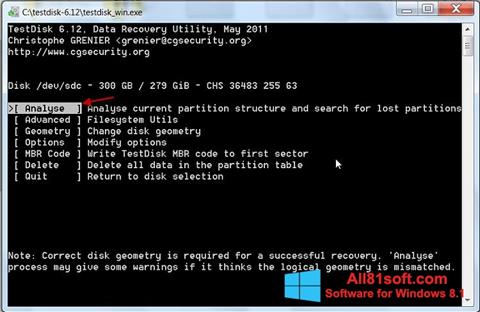 Στιγμιότυπο οθόνης TestDisk Windows 8.1