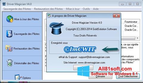Στιγμιότυπο οθόνης Driver Magician Windows 8.1