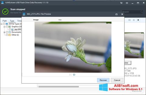 Στιγμιότυπο οθόνης USB Flash Drive Recovery Windows 8.1